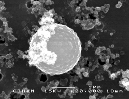 Matériau/nanomatériaux et environnement 2