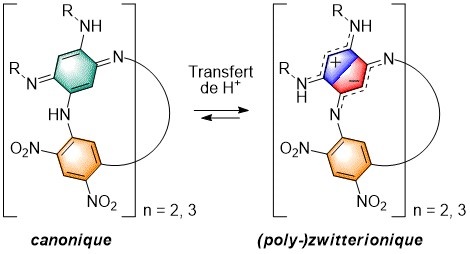 Les Azacalixarenes : une nouvelle famille de macrocycles (poly-)zwitterioniques 1