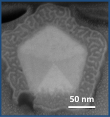 Core-shell Nanowire cross-section
