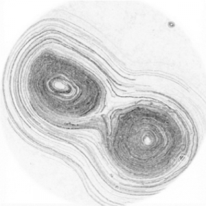 Mechanics of active biofluids 3